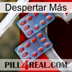 Despertar Más 05